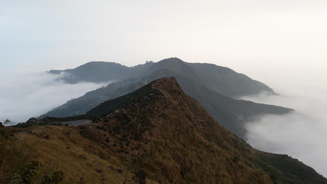 The River View Homestay Kurseong Eksteriør billede